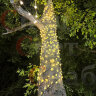 Уличная гирлянда 60м 600LED теплобелая